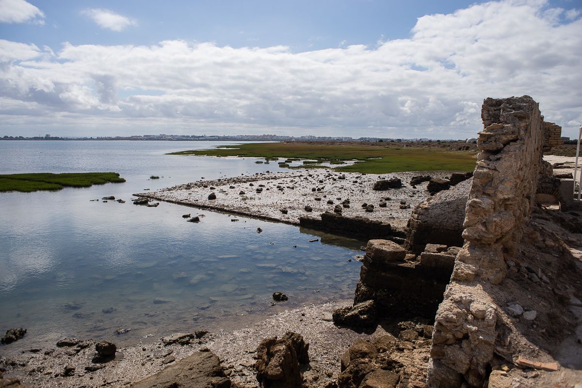 Vistas del Parque Natural Bahía de Cádiz desde Marambay.