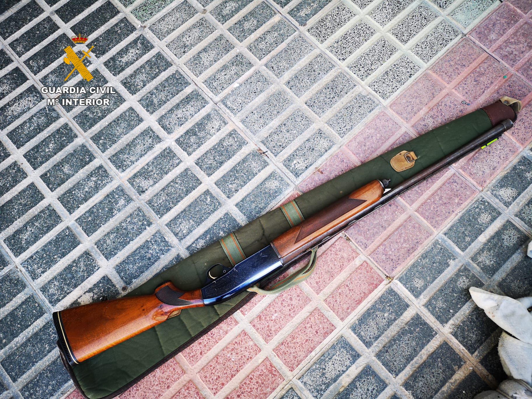 Los culturistas criminales de Huelva, Sevilla y Cádiz que se dedicaban al cobro de deudas. Los culturistas criminales de Huelva, Sevilla y Cádiz que se dedicaban al cobro de deudas.