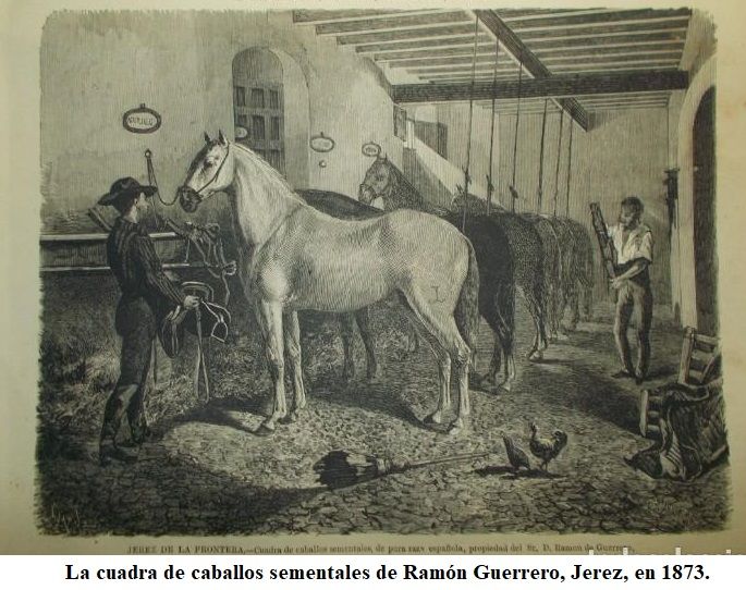 Grabado de Jerez, 1873.