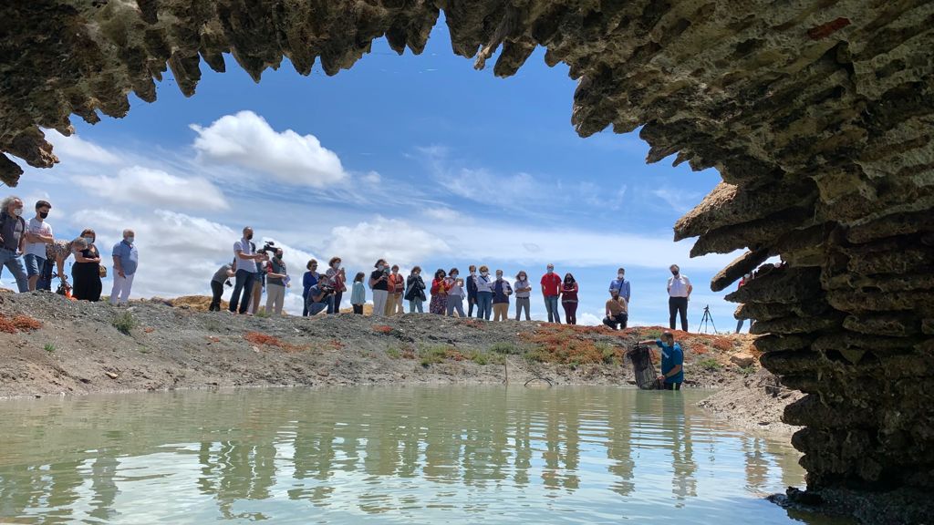 Esteros en el Parque Natural Bahía de Cádiz, lugar donde un proyecto internacional promueve la recuperación de salinas artesanales.