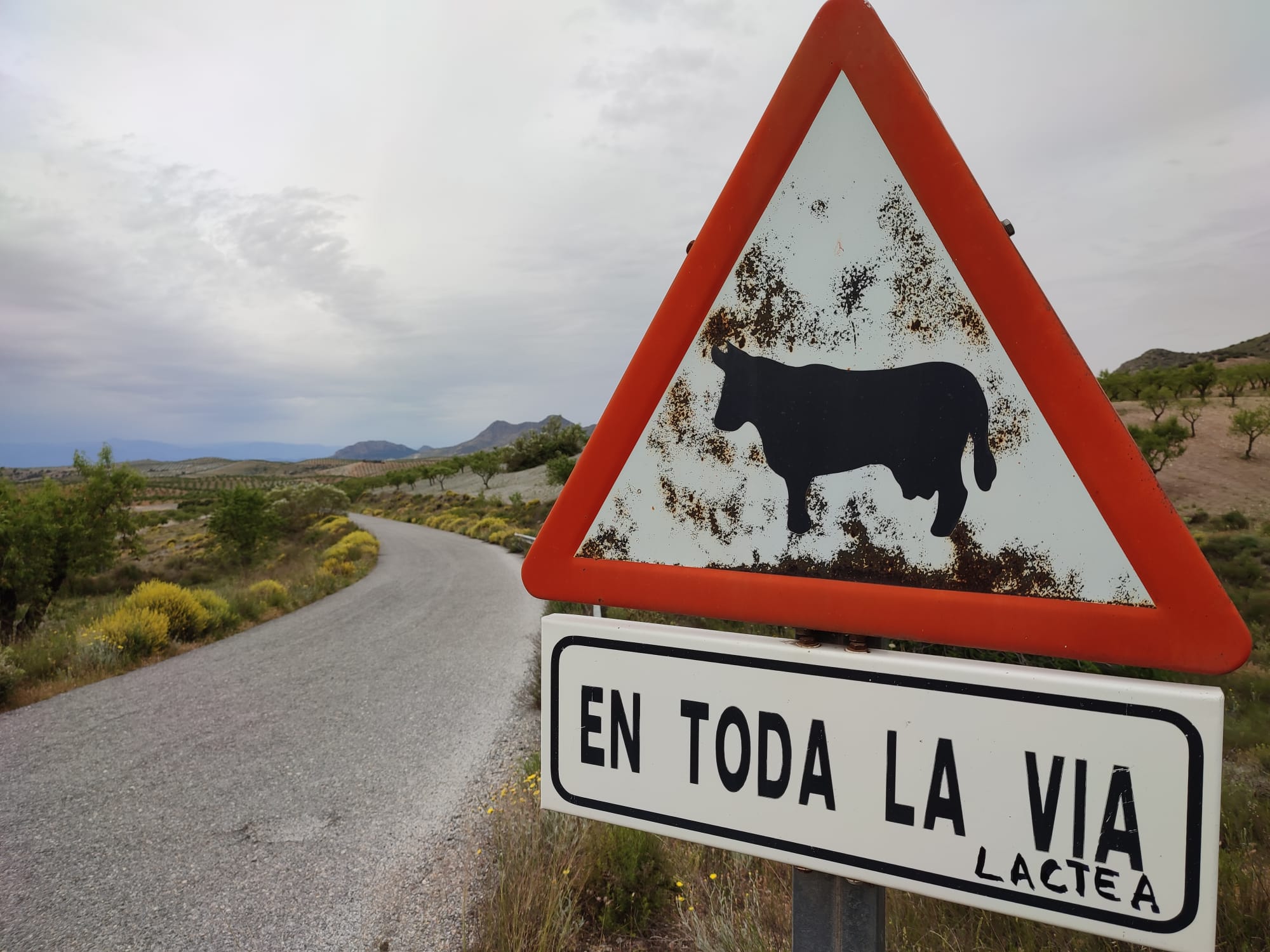 Señal de ganado extensivo en toda la vía (láctea).