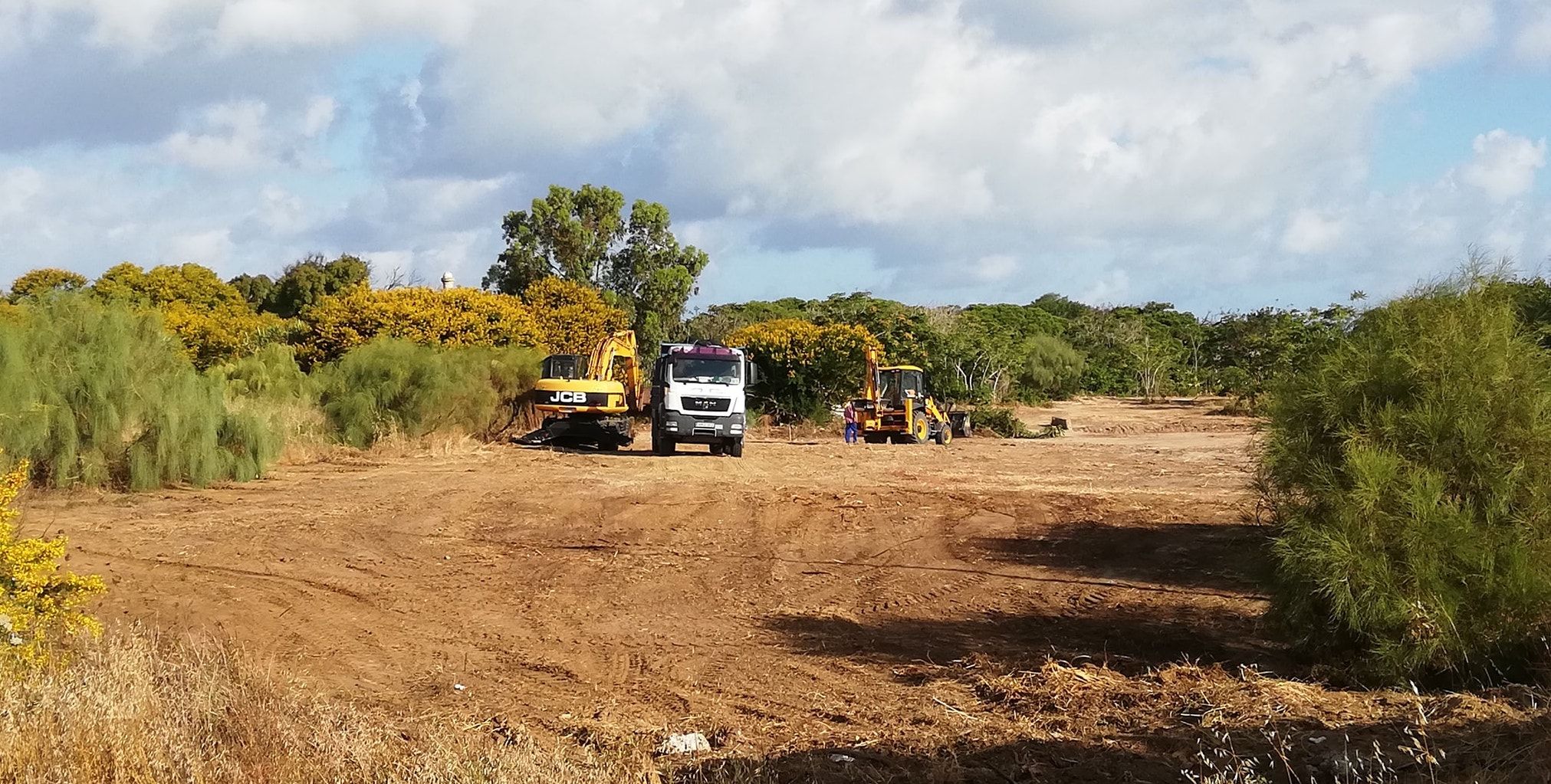 Trabajos de desbroce en una parcela anexa a Punta Candor, donde tienen lugar conciertos de Rota es Música.