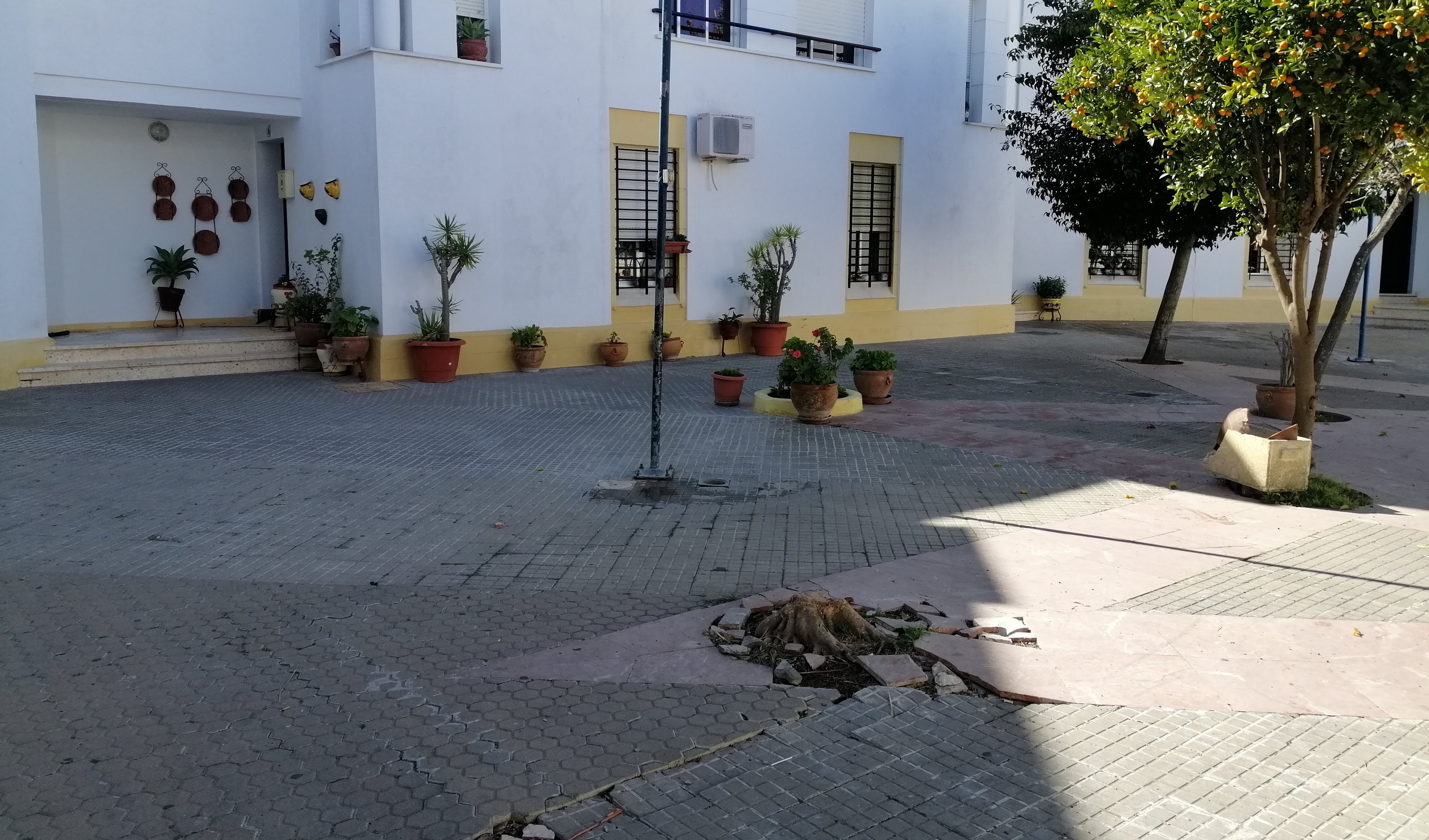 Viviendas San José del Valle (2)