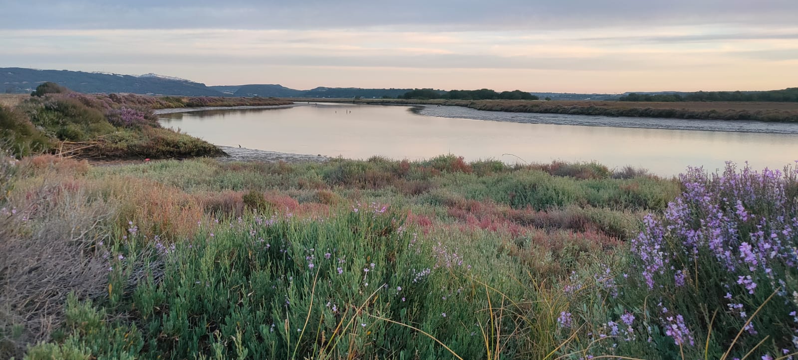 Negativa de la Junta de Andalucía para ampliar los límites de los parques naturales del litoral gaditano 