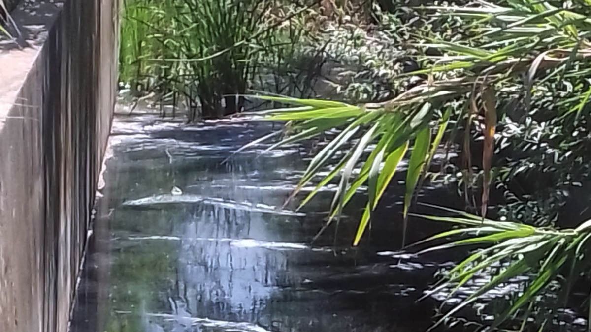 Denuncian vertidos de aguas fecales en un arroyo de Chiclana.