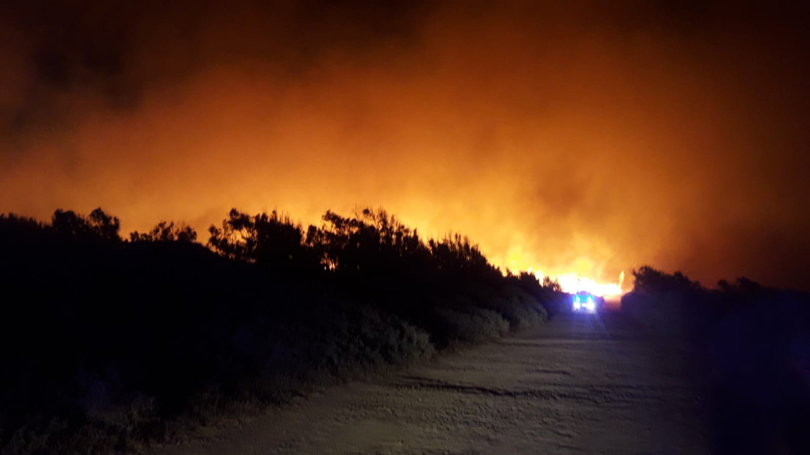 Incendio forestal en San Roque.
