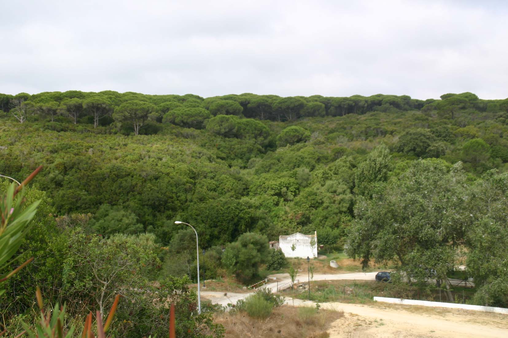 La Comisión Europea dice que los hábitats naturales son un "obstáculo insalvable" para el megaproyecto urbanístico de Barbate