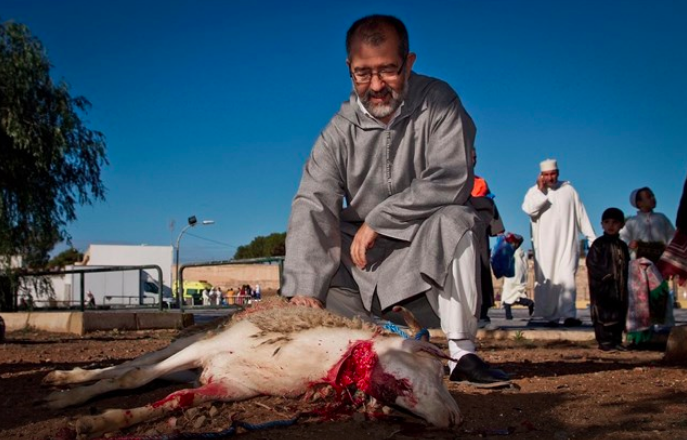 Un cordero, recién degollado por el rito halal. FOTO: JONÁS AMADEO LUCAS - IGUALDAD ANIMAL