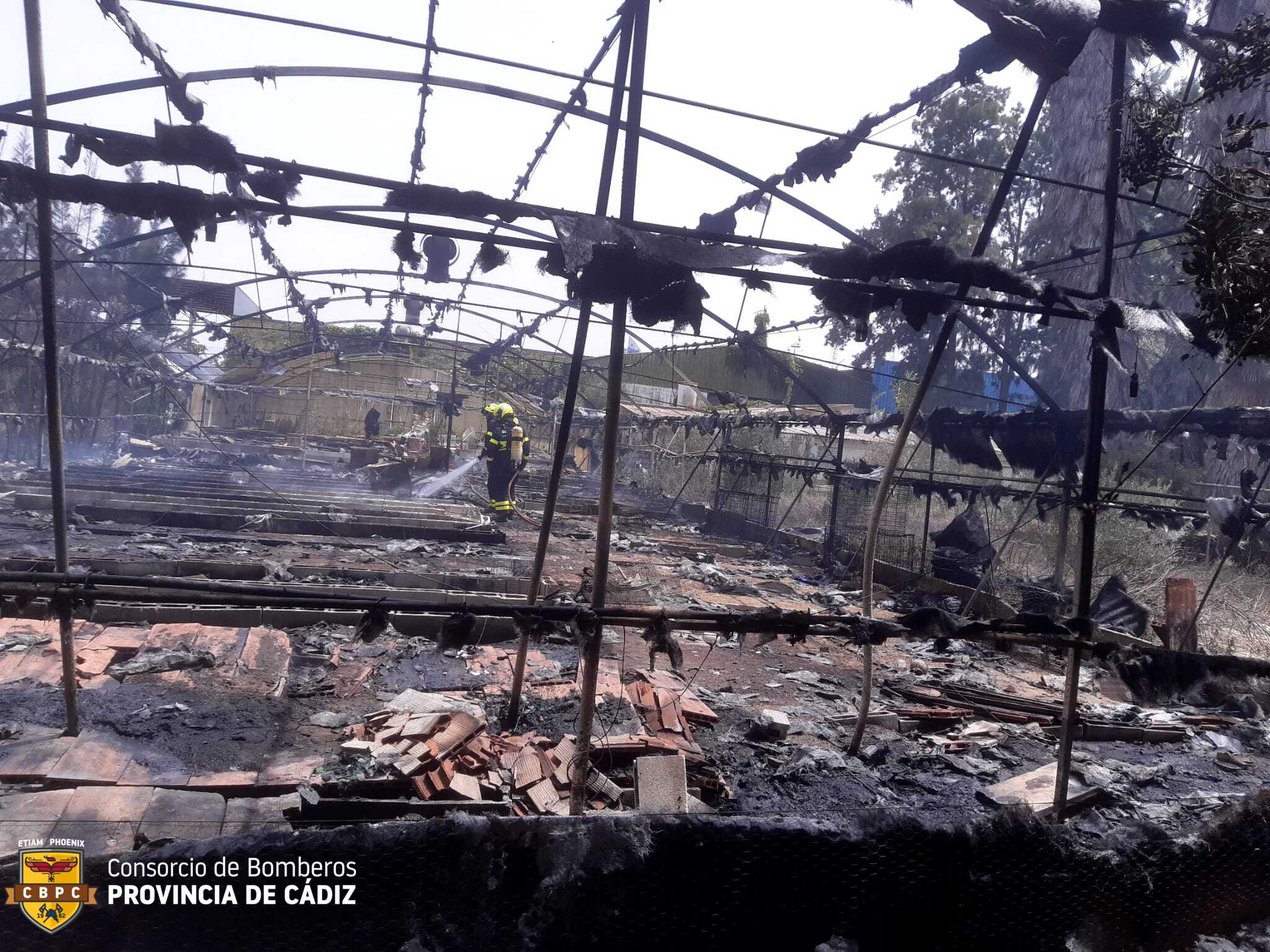 Desolador aspecto del vivero incendiado en Sanlúcar de Barrameda.