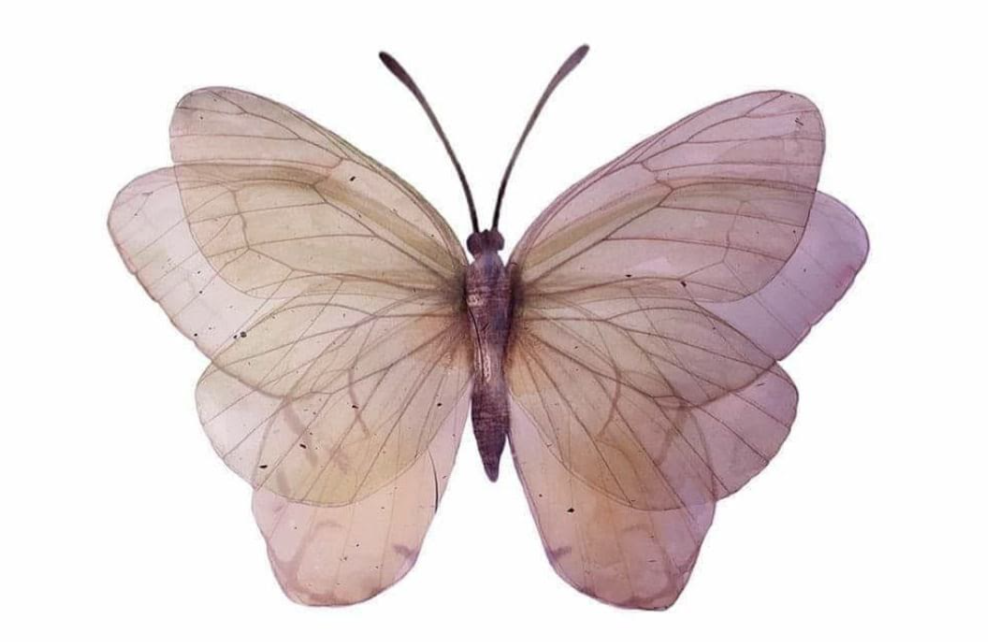 Detalle de la cubierta de 'Tapar los espejos', de Rosario Troncoso.