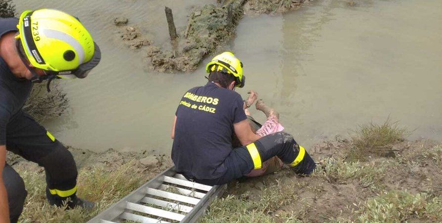 Bomberos rescatando a una mujer que había caído al Caño en San Fernando.