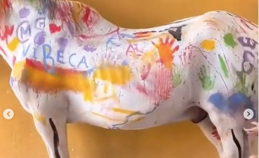 Un caballo pintado en el curso de verano celebrado en un centro hípico de Murcia.