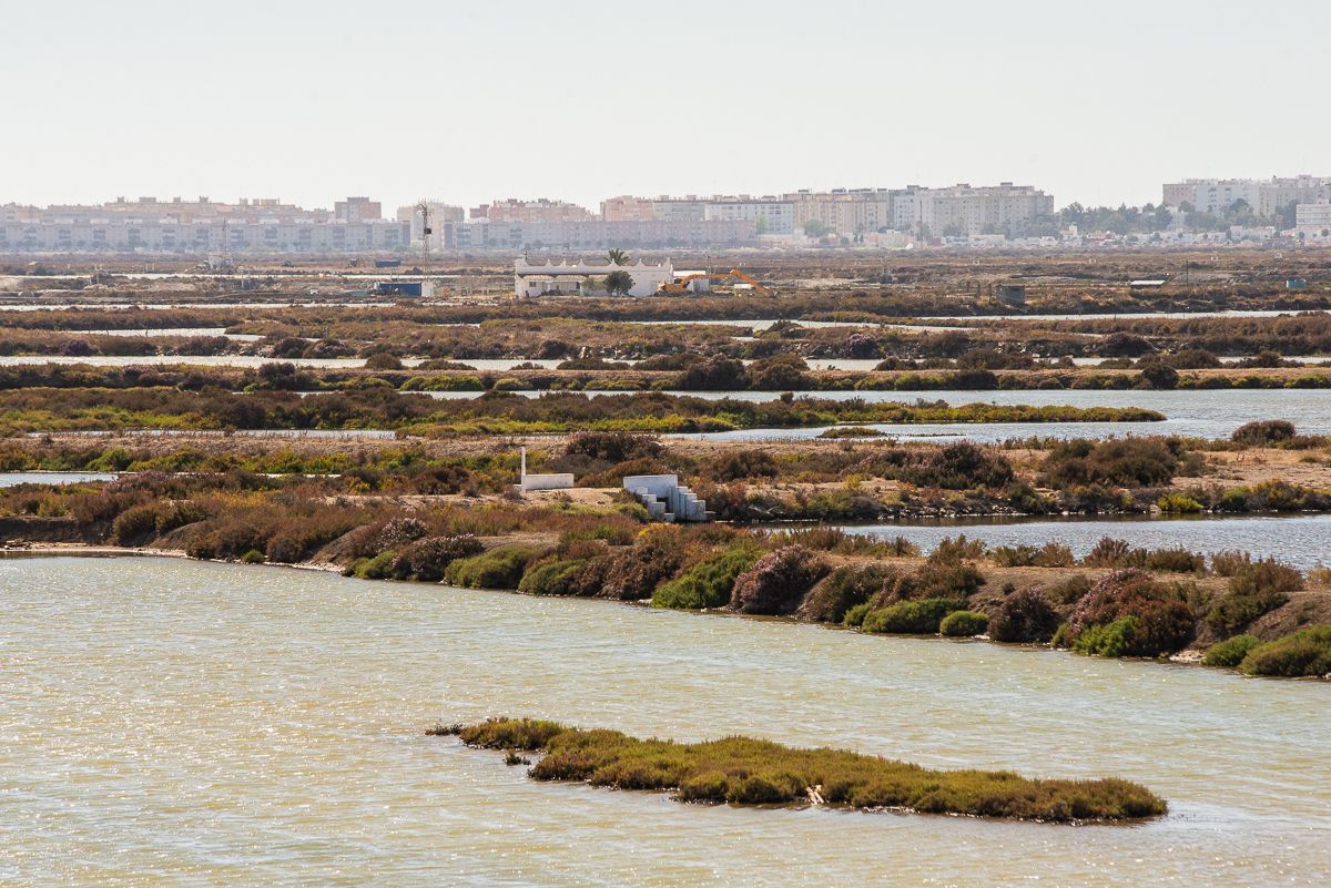 El Parque Natural Bahía de Cádiz.