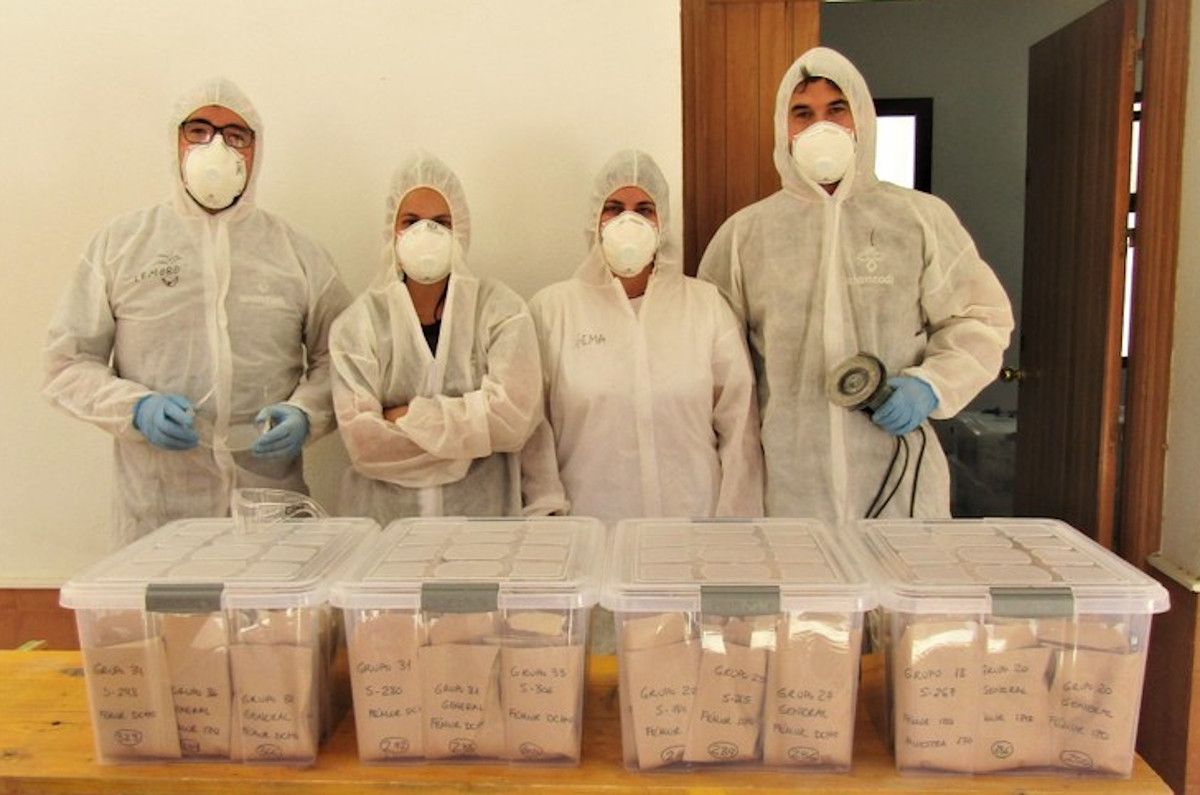 Equipo de técnicos con las muestras óseas extraídas durante los trabajos de exhumación de la fosa común de Pico Reja en Sevilla.