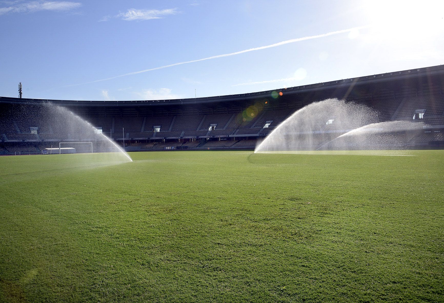 Una imagen de Chapín.