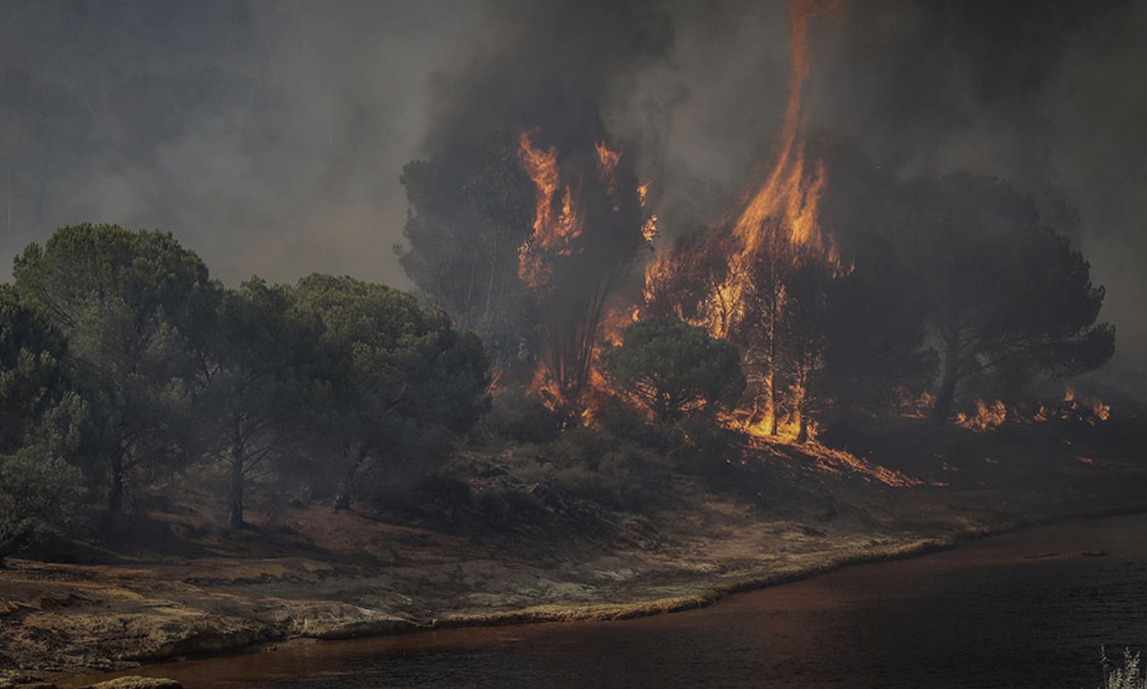 Incendio forestal en Villarrasa, en Huelva, en una imagen de Canal Sur.