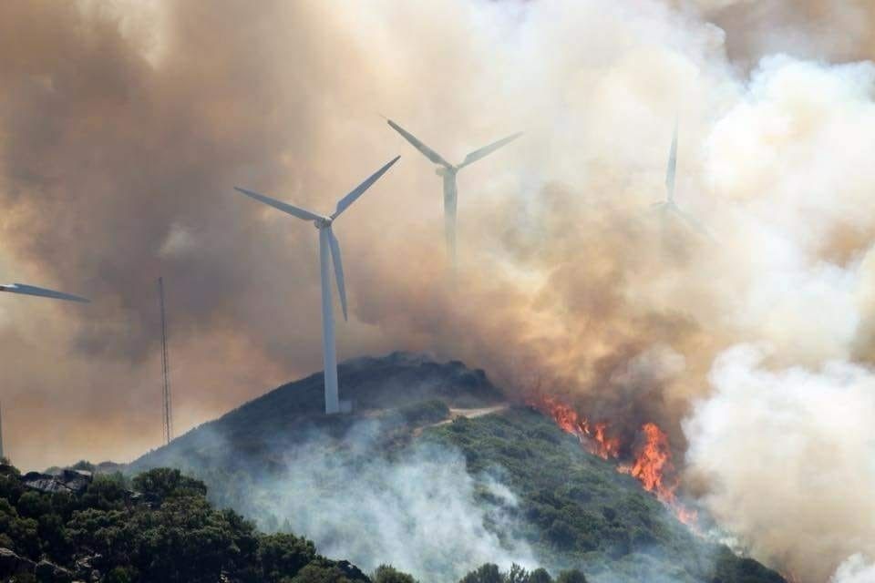 Uno de los incendios producidos este verano en la zona de Tarifa. FOTO: CONSORCIO DE BOMBEROS DE CÁDIZ.