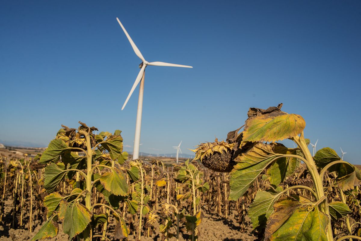 La ciudad está en venta.