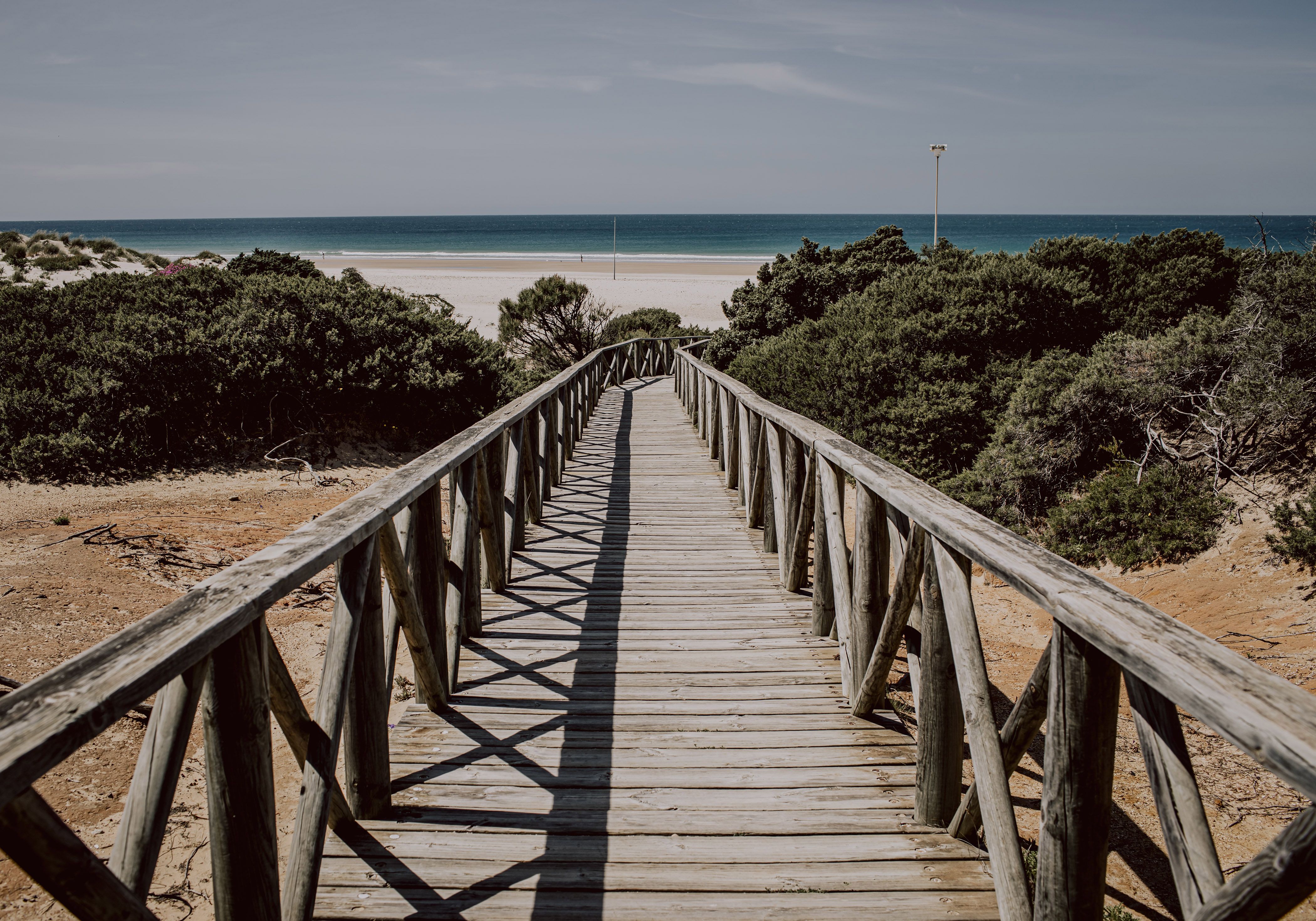 Bajada a la playa de La Barrosa. "Ecologistas denuncian la invalidez de las Banderas Azules: "Se basan en meros aspectos turísticos"