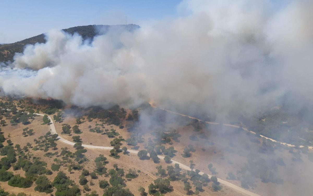 Medio centenar de bomberos forestales tratan de controlar un incendio en Alcalá de los Gazules.