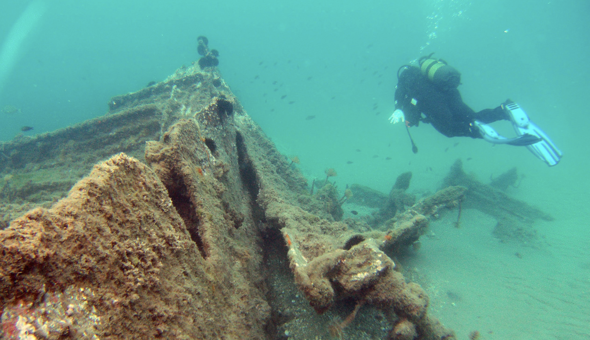 Buceo en el 'Barco del Arroz', en la costa de Torrox.  BLACK FROG DIVERS