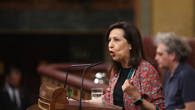 La ministra de Defensa, Margarita Robles, en el Congreso. FOTO: ELDIARIO.ES