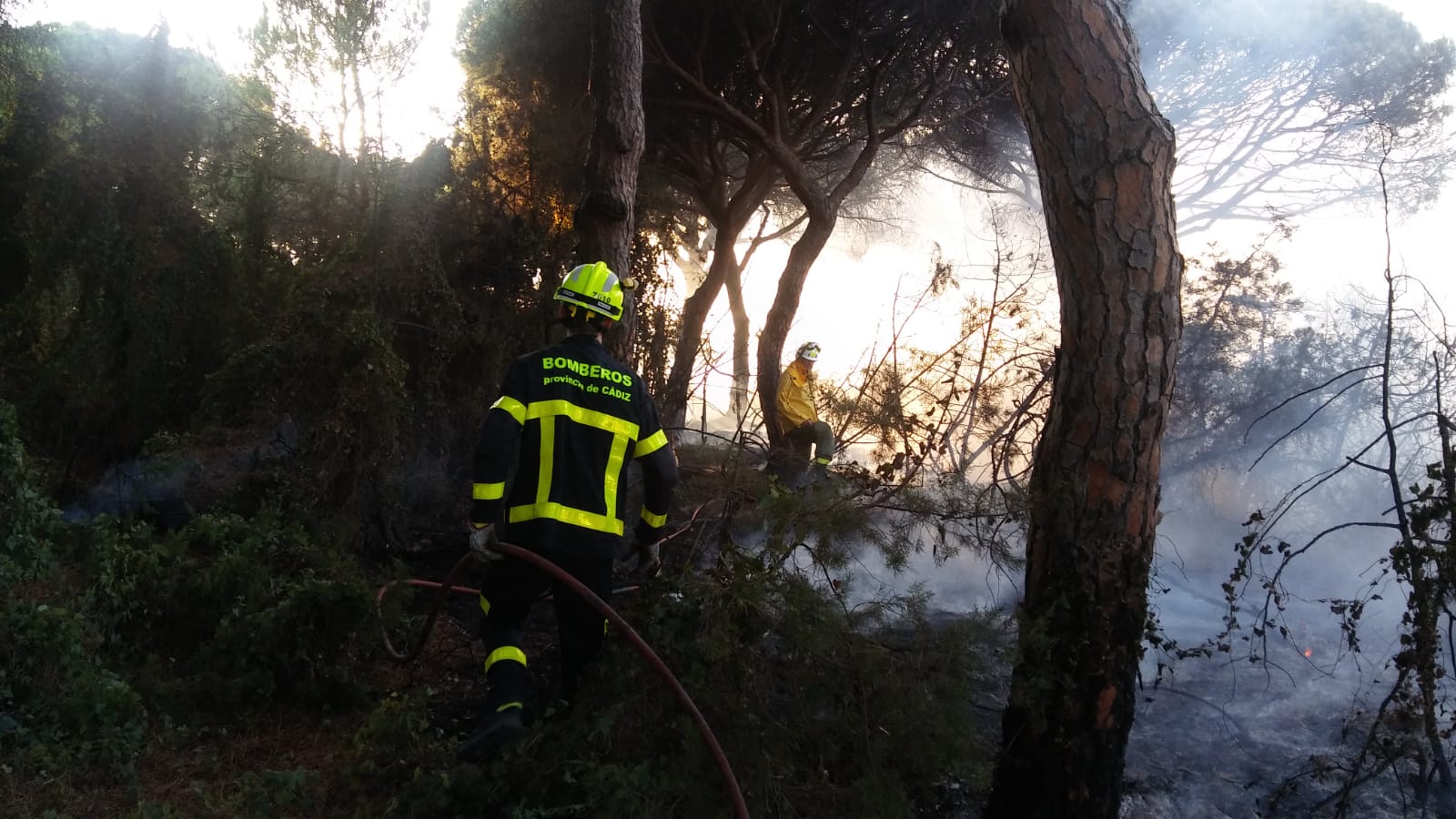 Intervención de los Bomberos en el incendio en el camino del Tirón Pichón. FOTO: BOMBEROS.