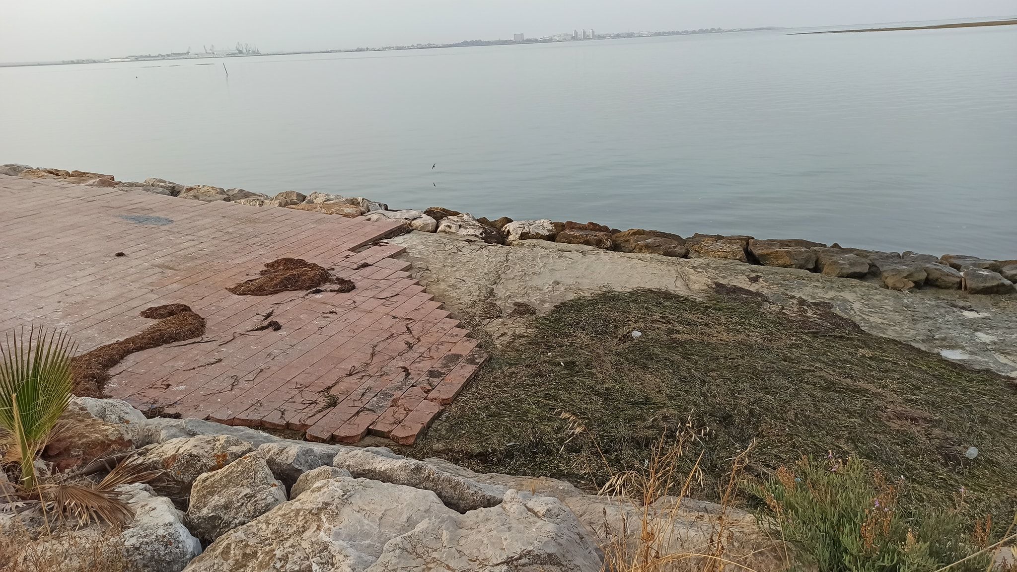 Partes de la acera, intransitables en el paseo marítimo de Puerto Real.