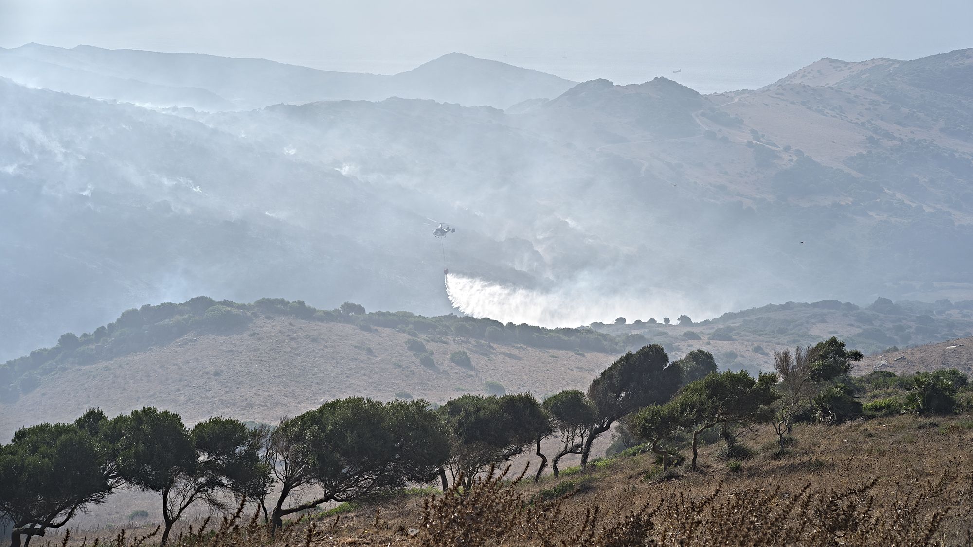85 de los 97 desalojados en el incendio de Tarifa ya pueden volver a sus casas. Entornos afectados junto a árboles lejos del fuego aún.