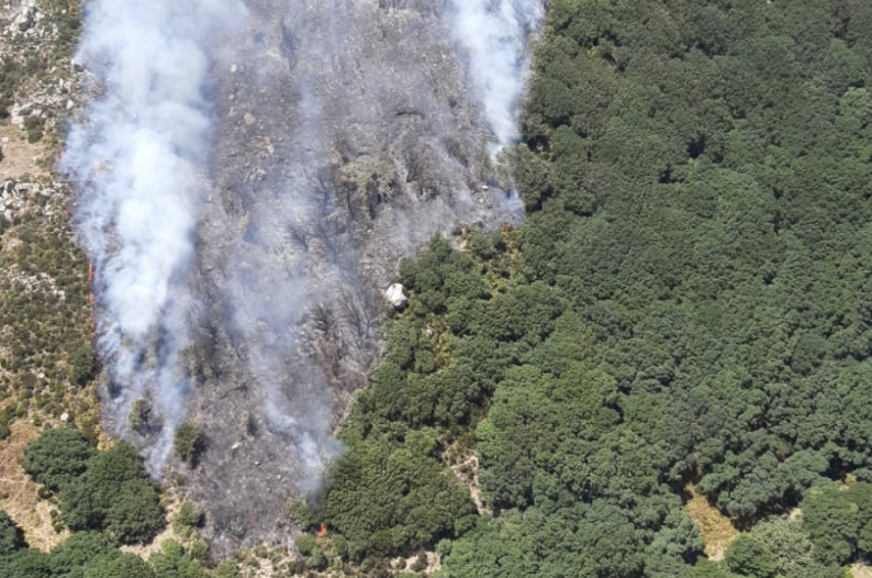 El levante complica la extinción de un segundo incendio forestal en Tarifa en apenas unos días. INFOCA
