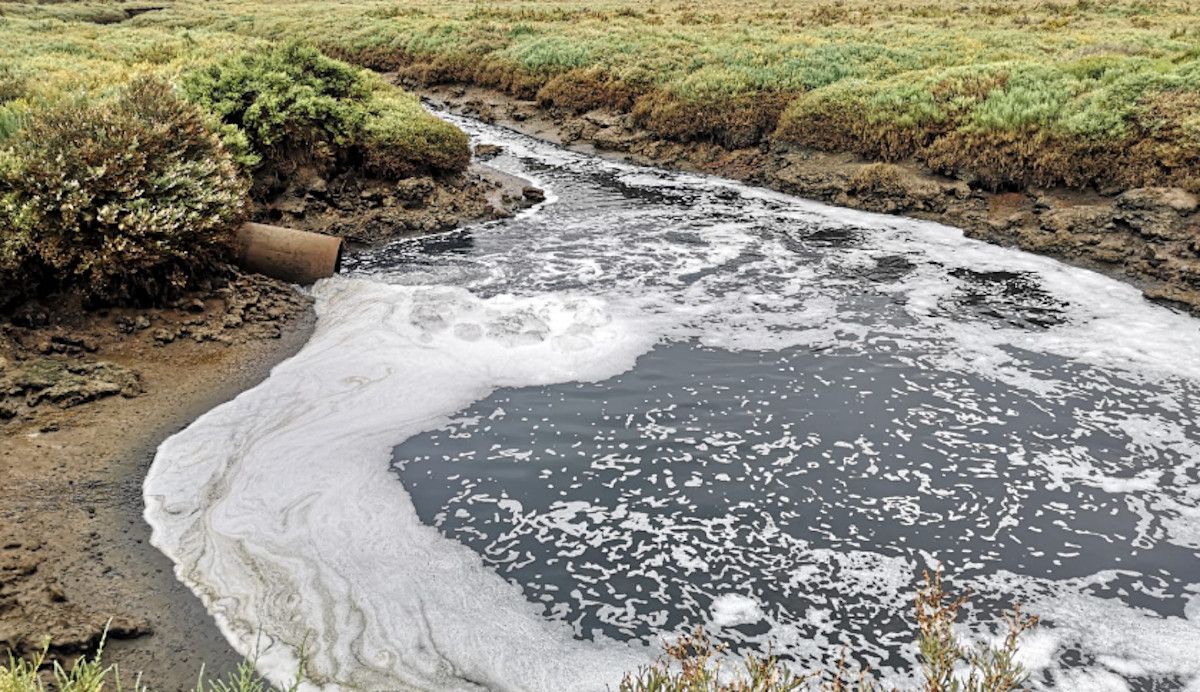 La EDAR de Isla Cristina está vertiendo decenas de litros de aguas fecales sin tratar en un espacio natural protegido.