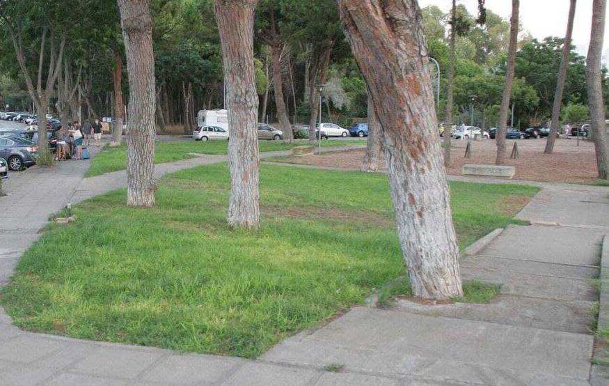 El nuevo parque dedicado a José María Pemán por el Ayuntamiento de El Puerto