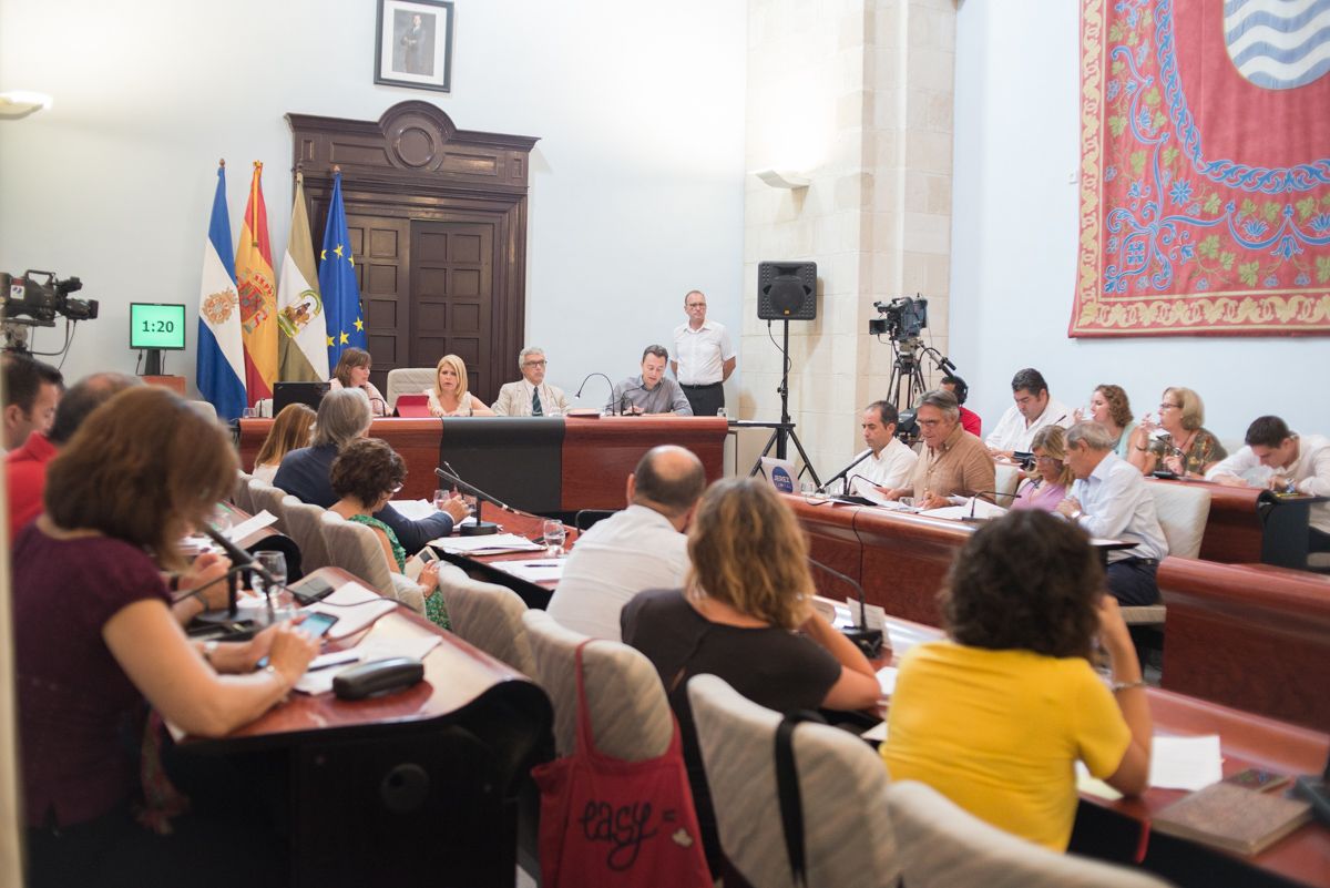 Un momento del pasado pleno de septiembre. FOTO: MANU GARCÍA.