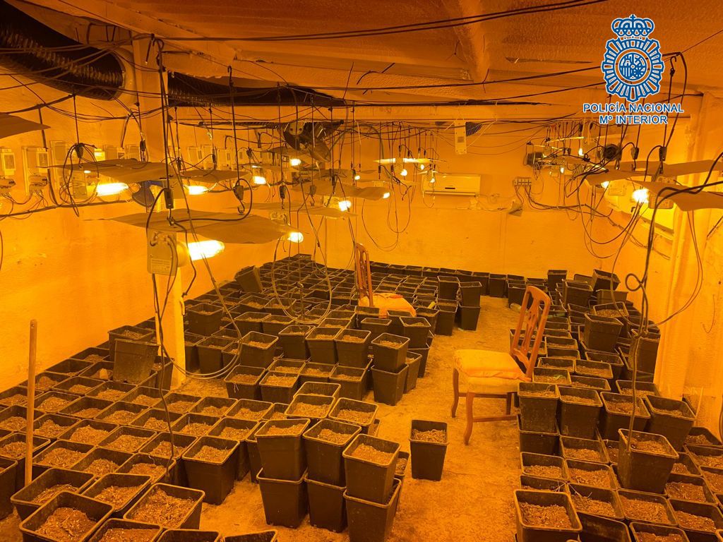 Una falsa cooperativa de La Algaida ocultaba a unos narcos que operaban en zonas de Jerez como el centro y La Marquesa.