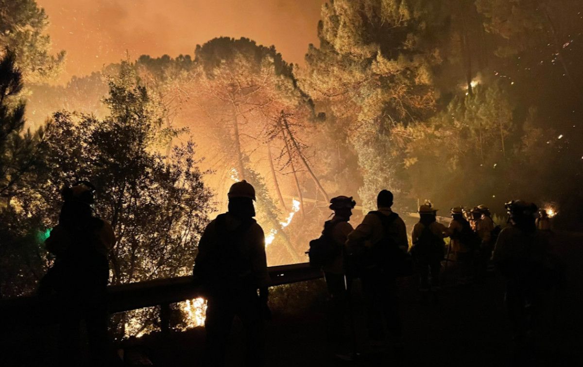 Incendio en Sierra Bermeja, Málaga.