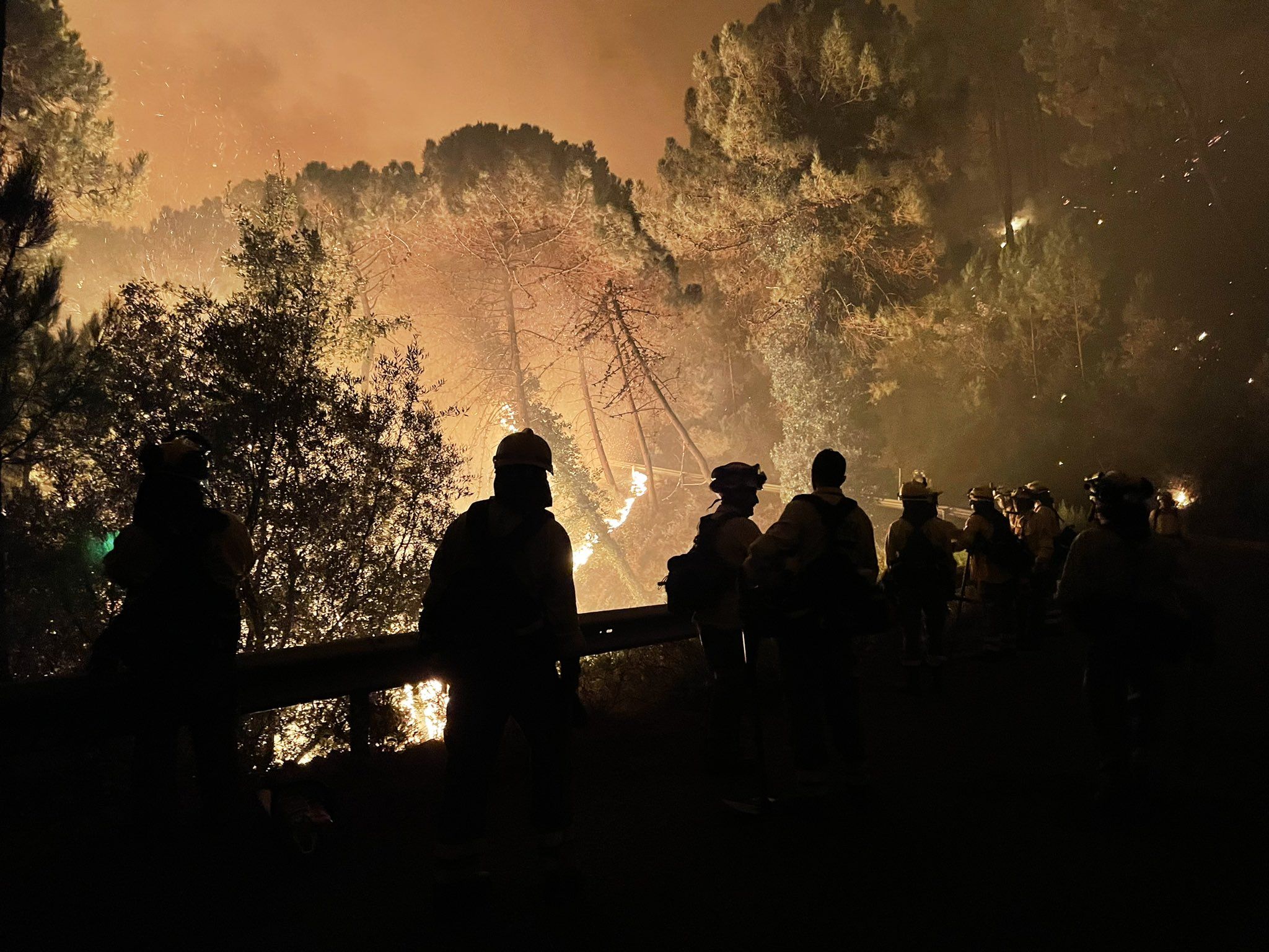 Impactantes imágenes del indencio de Sierra Bermeja. "Esto no es un accidente de un bombero", denuncia un compañero.  @MAHerreraGut