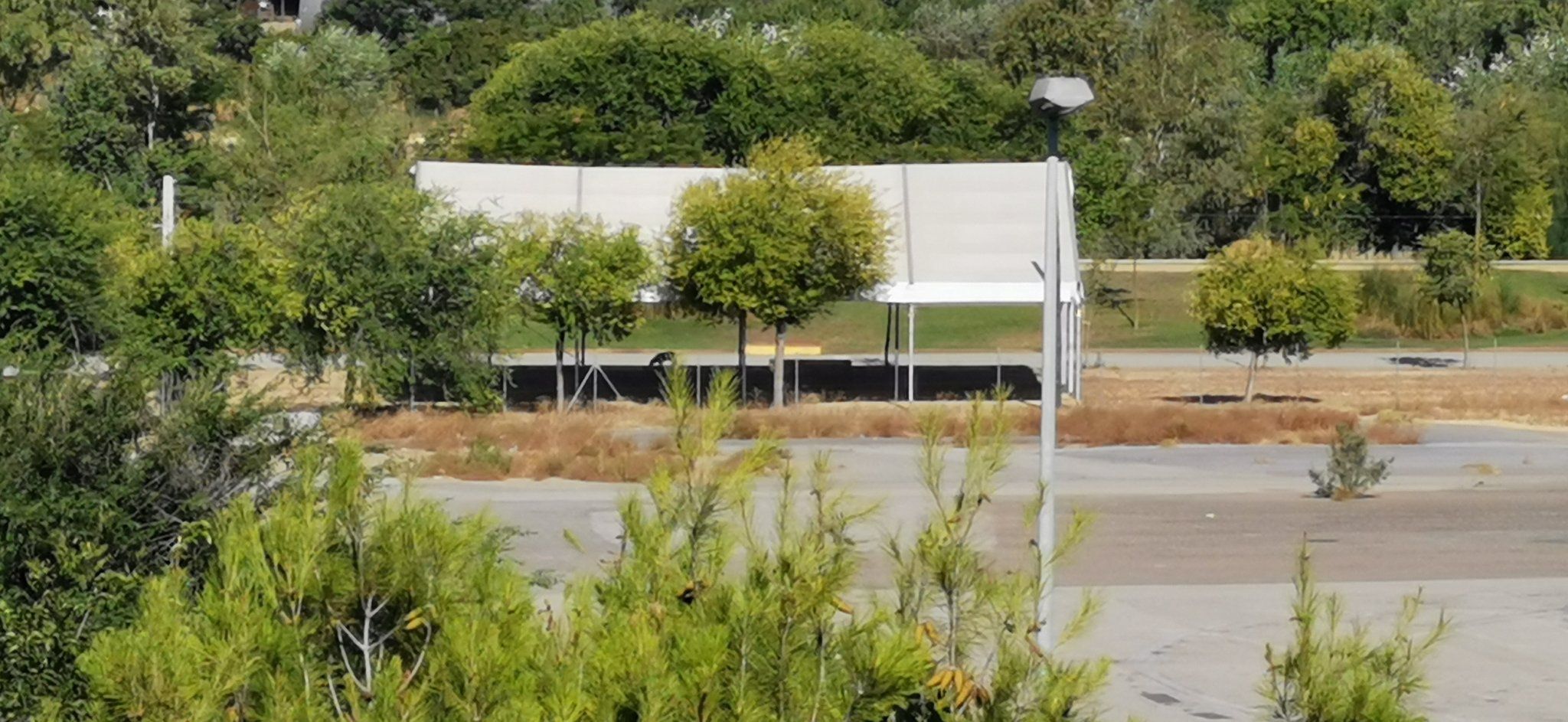 El Charco de la Pava, en una imagen reciente.