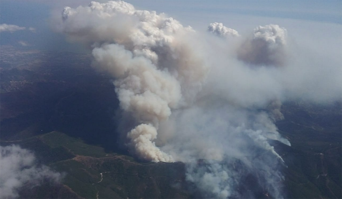 La gran humareda del incendio de Sierra Bermeja vista desde arriba. 