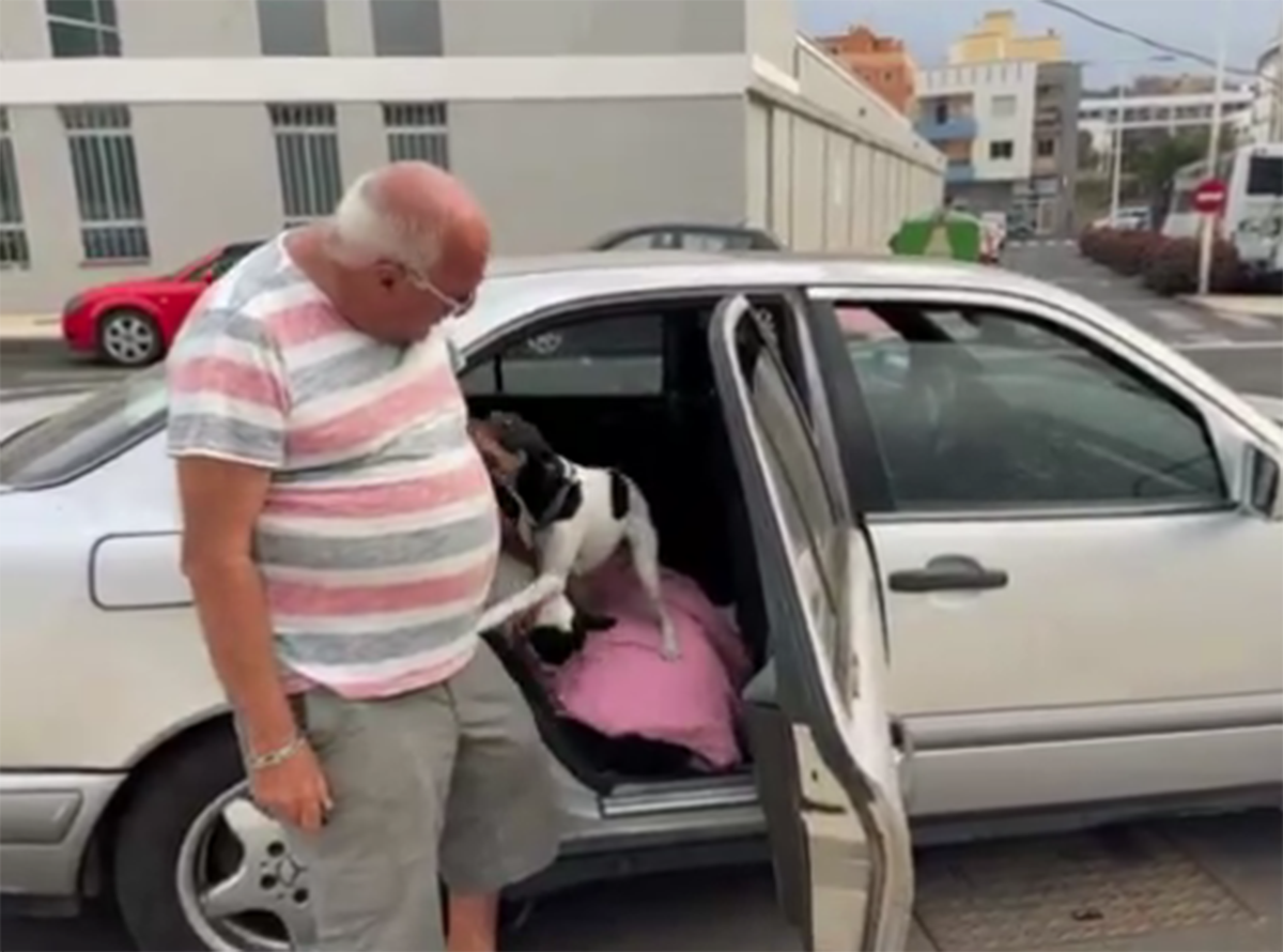 Pedro, el hombre de La Palma que dormía en un coche para no abandonar a sus perros.