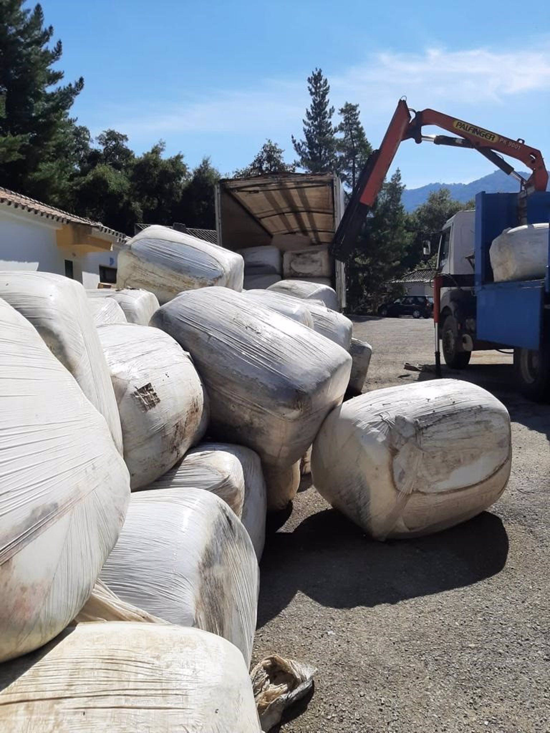 I+D+i andaluz para ayudar a Sierra Bermeja: Málaga recibe 50 toneladas de ensilado para el ganado desde Almería.