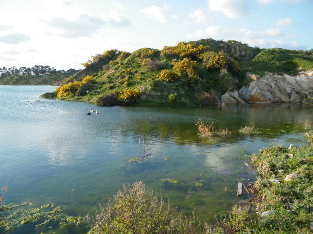 La Bahía de Algeciras cuenta con 190 kilos menos de residuos en su fondo submarino