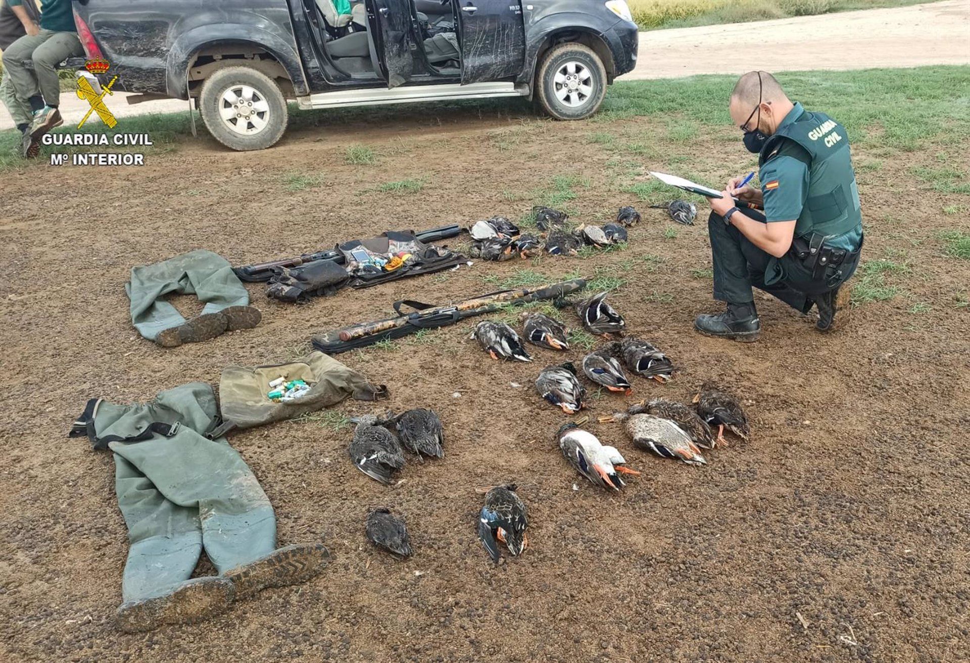 La Guardia Civil sorprende a tres vecinos cazando patos en Los Palacios.