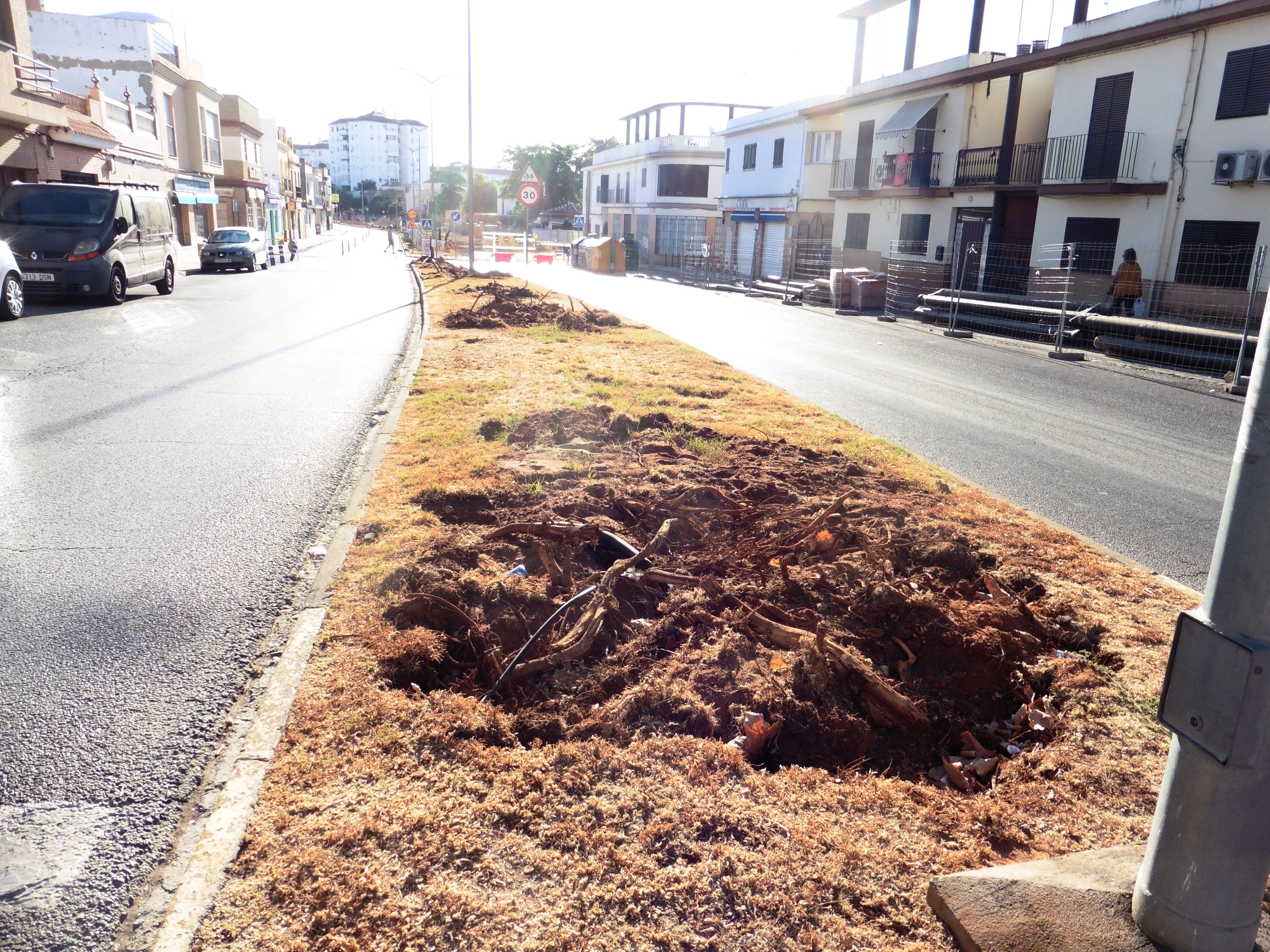 Estado de la mediana de la calle Tajo.  CEDIDA