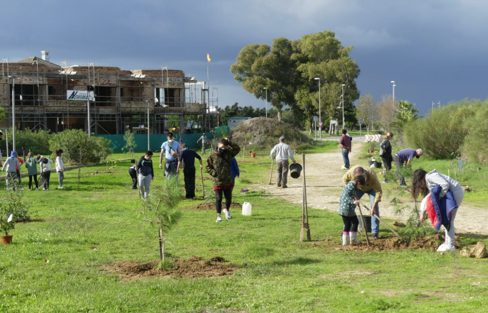 Una repoblación en Rota de Ecologistas en Acción.