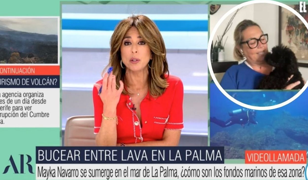 Momento en el que la periodista Mayka Navarro coge a su perra Lola. 