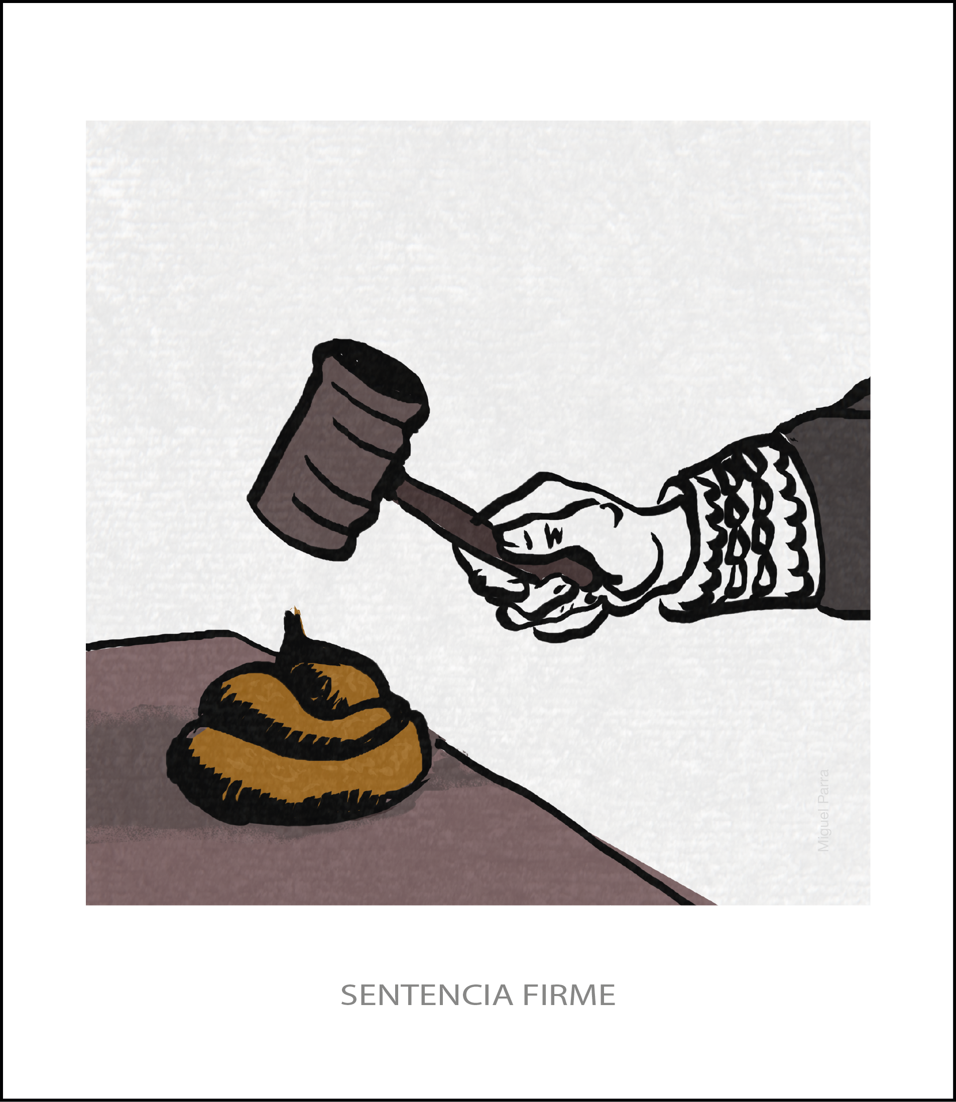 ACTO JURIÌDICO DOCUMENTADO