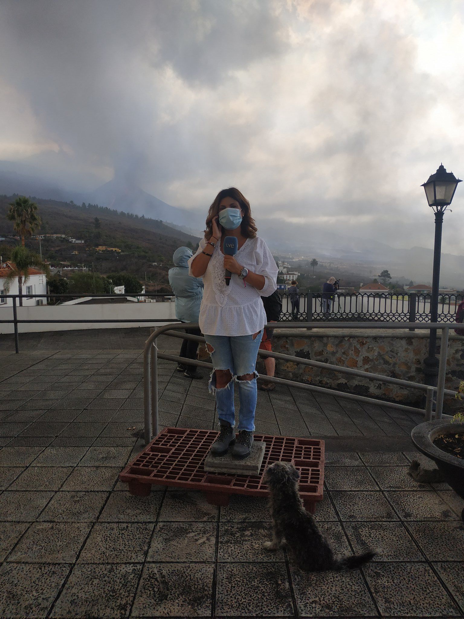 La periodista de TVE, Francisca González, junto a Vulcano.    TWITTER