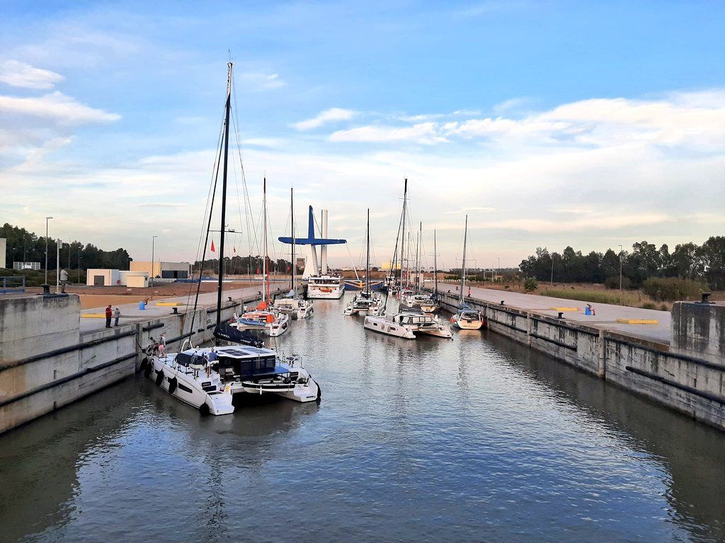 Los veleros, en el Puerto de Sevilla.