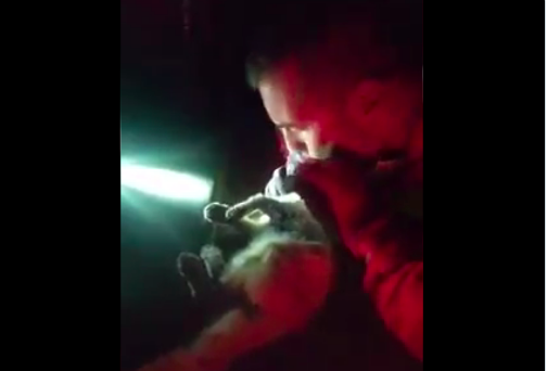 Momento en el que el militar de la UME le practica el boca a boca al gato. Momento en el que el militar de la UME le practica el boca a boca al gato.