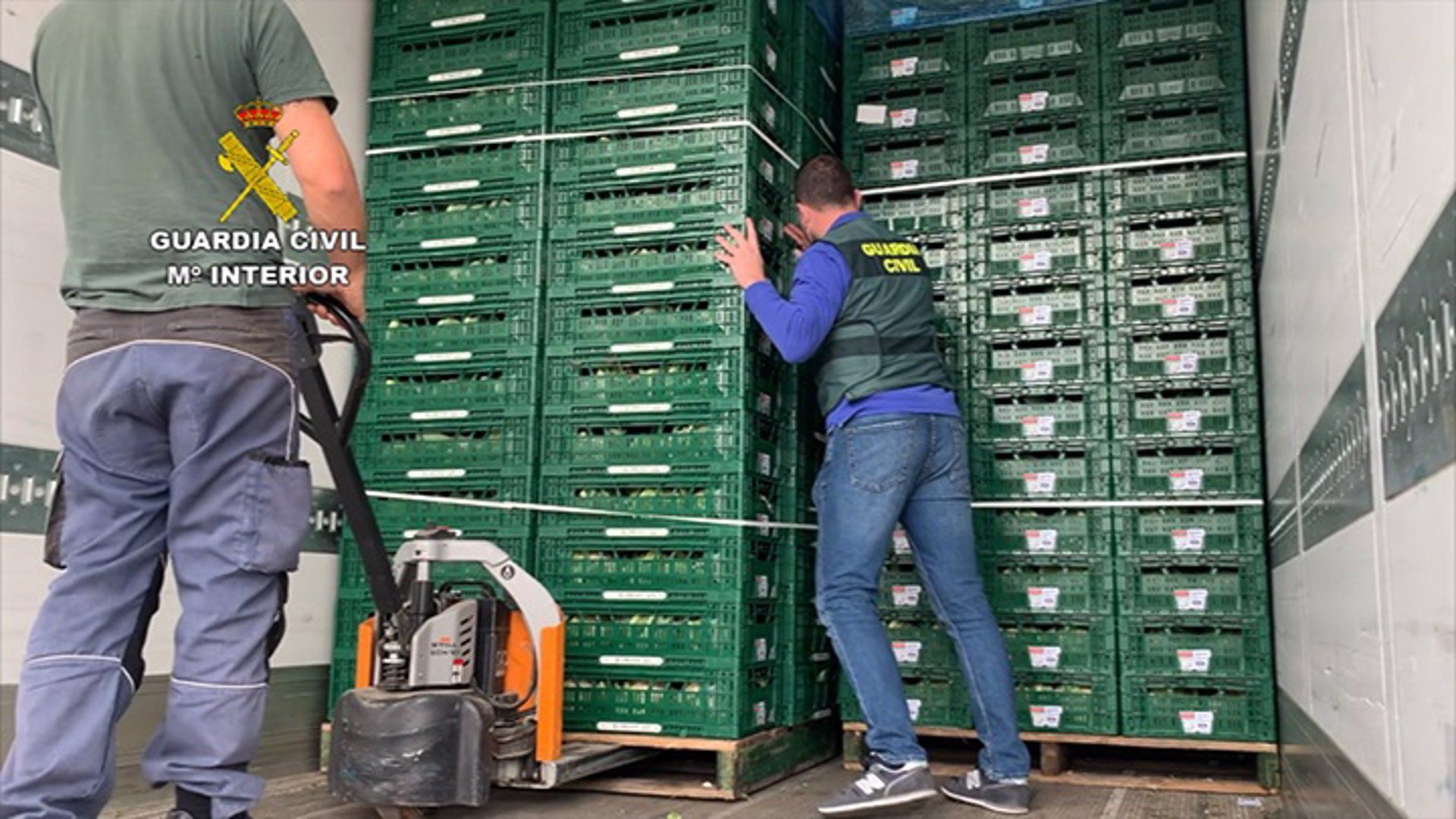Camión donde se encargaban de transportar droga oculta entre toneladas de coliflores en Málaga